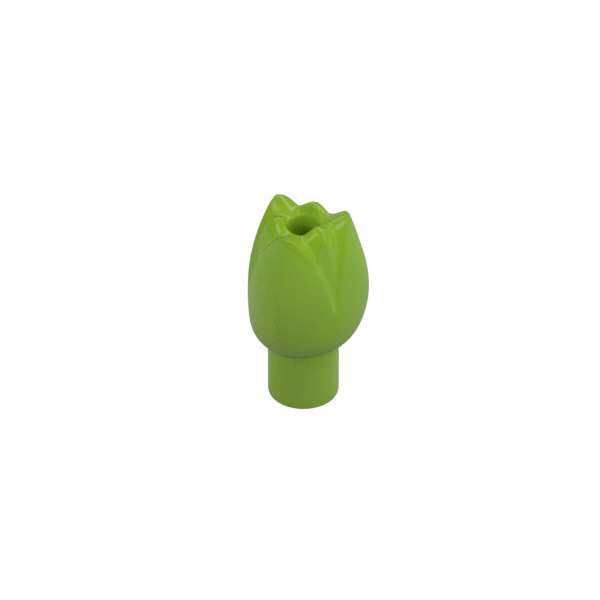 Lime Plant, Flower, Tulip - New - $0.12